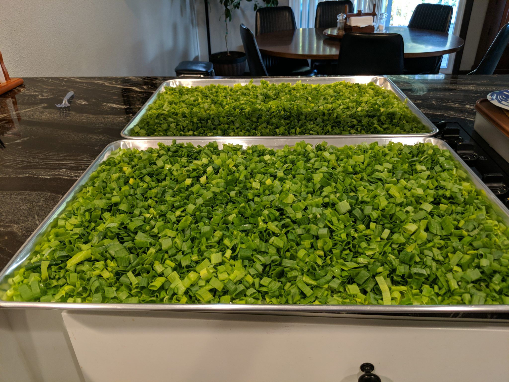 How To Freeze Dry Veggies Freeze Drying Mama