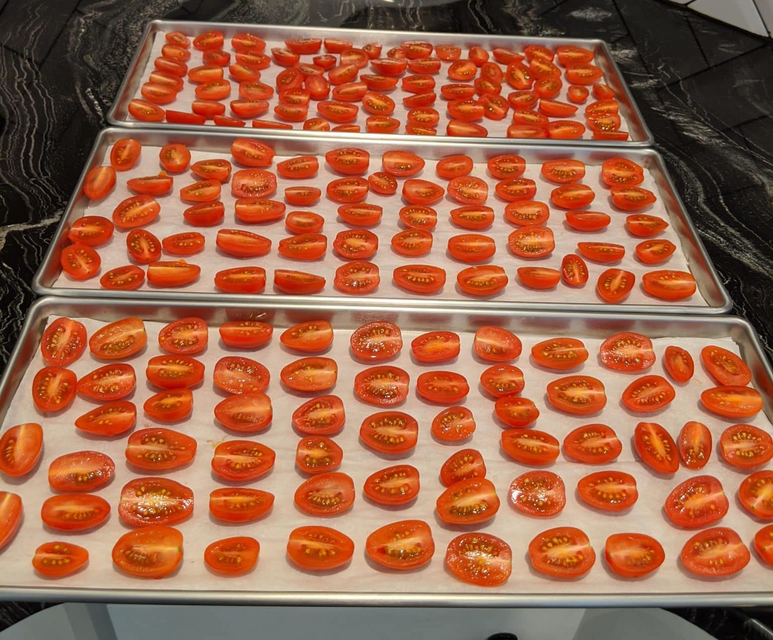 How To Freeze Dry Tomatoes Freeze Drying Mama