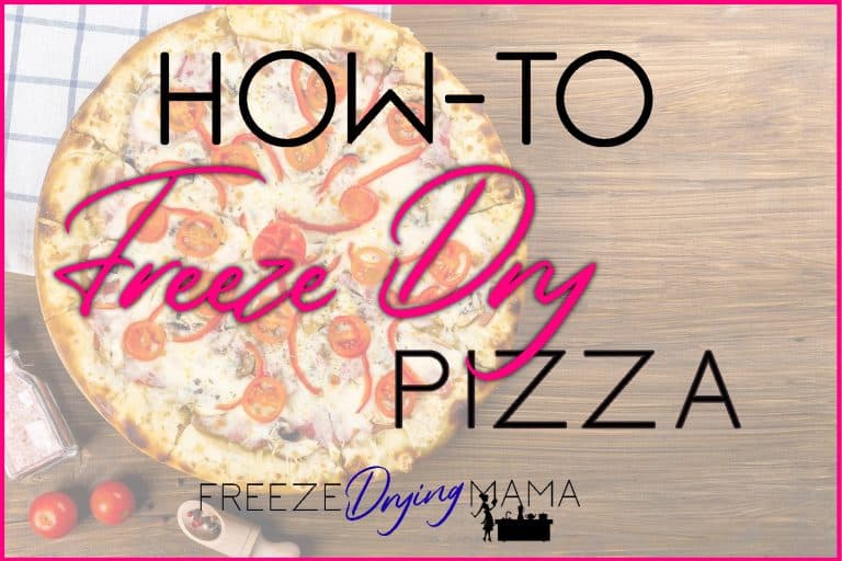How To Freeze Dry Pizza