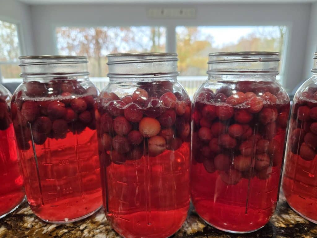 Quart jars of home-canned whole cranberries lined up in front of a sunny window