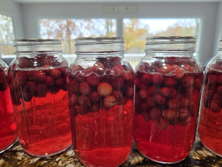 How to Can Whole Cranberries (Easy Water Bath Method)